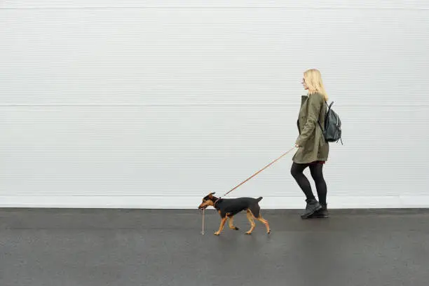 Photo of With dog. Girl walking with her dog.