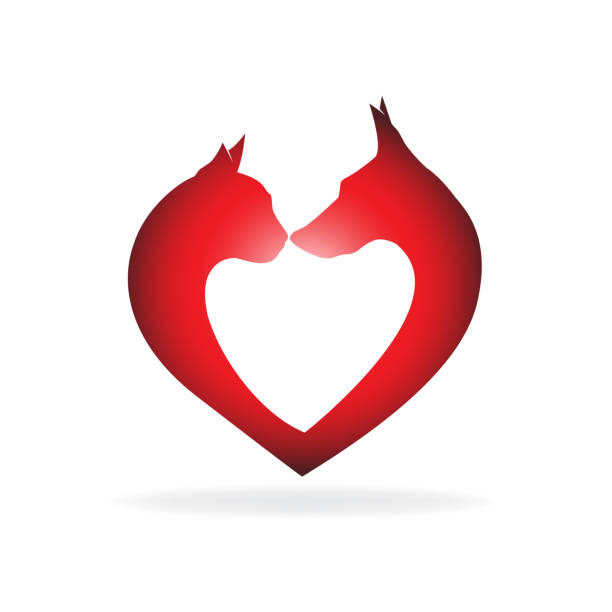 istock Logo dog and cat in a love heart shape 1000892824