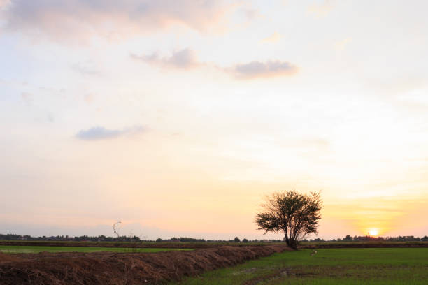 istock landscape sun sunrise sunset green  background 1000899268