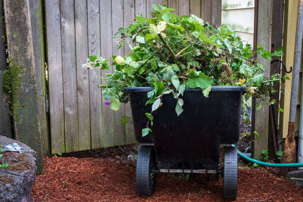 wózek ogrodowy pełen chwastów - garden waste zdjęcia i obrazy z banku zdjęć