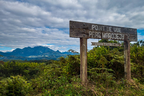 istock Marojejy park view under the clouds 1000901774