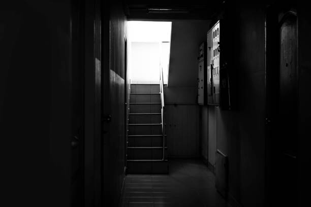 escaleras en el edificio. fondo negro. - black ladder white staircase fotografías e imágenes de stock