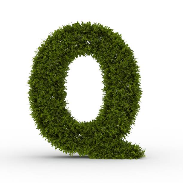 istock Gras letter Q isolated on white background 1000912194