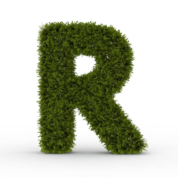 istock Gras letter R isolated on white background 1000912244