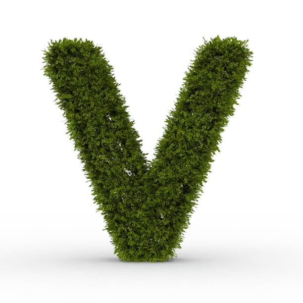 istock Gras letter V isolated on white background 1000912464