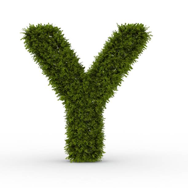 istock Gras letter Y isolated on white background 1000914888