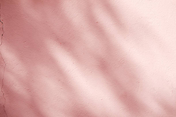 abstract background textuer of shadows leaf on a concrete wall