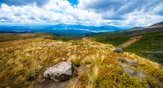 hiking the tongariro alpine crossing,grass on the  volcanic crater, footpath on volcano,new zealand