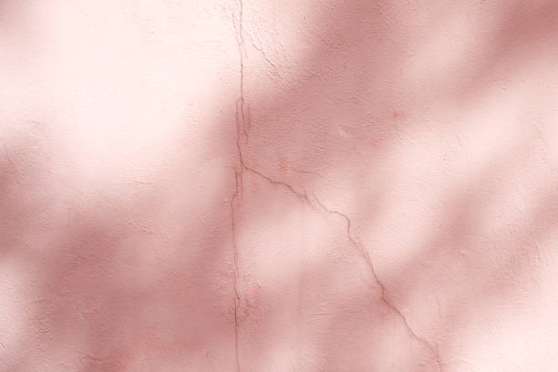 istock abstract background textuer of shadows leaf on a concrete wall 1000918286