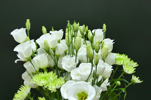 Boquet of white roses