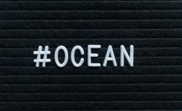 Hashtag word #ocean written on the letter board.