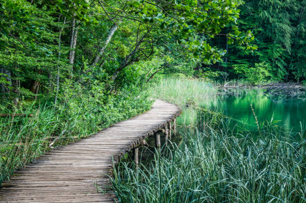 istock Plitvice National Park, Croatia 1000941026