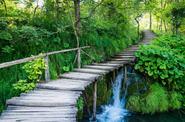 istock Plitvice National Park, Croatia 1000941362