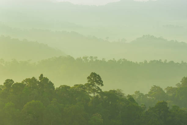 istock Panoramic view misty morning sunrise in mountain at north Thailand 1000941410