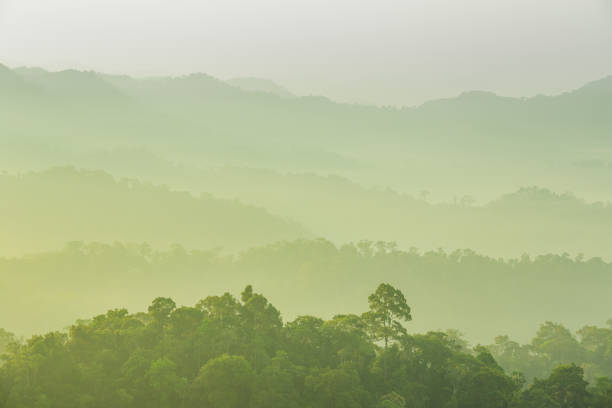 istock Panoramic view misty morning sunrise in mountain at north Thailand 1000941444
