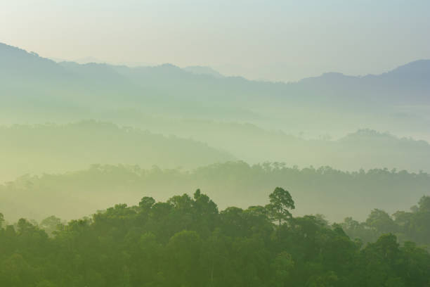 istock Panoramic view misty morning sunrise in mountain at north Thailand 1000941450