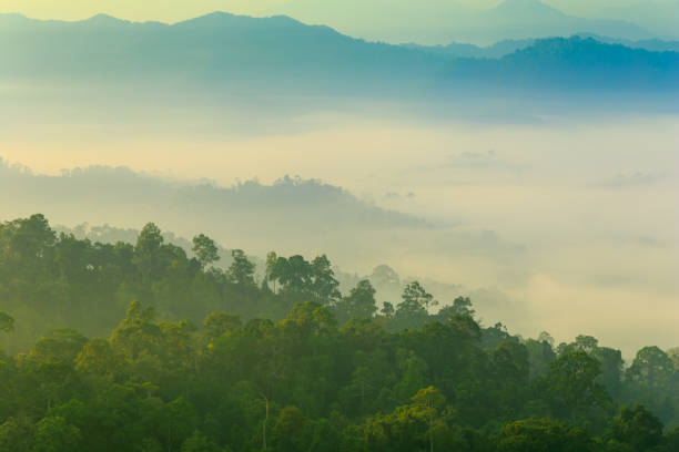 istock Panoramic view misty morning sunrise in mountain at north Thailand 1000941472