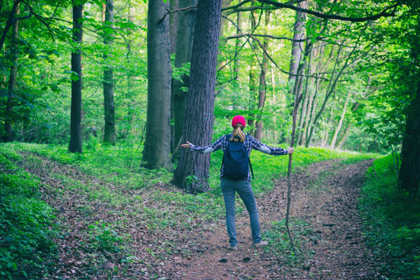 młoda kobieta wędrówki nie wie, w którą stronę iść w zielonym lesie. dziewczyna turystka zgubiła się na wędrówce. - discovery forest lost confusion zdjęcia i obrazy z banku zdjęć
