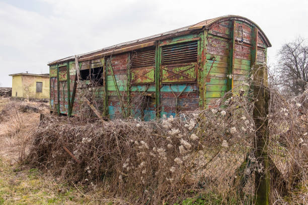istock Abandoned rail freight wagon in the scrub 1000956260