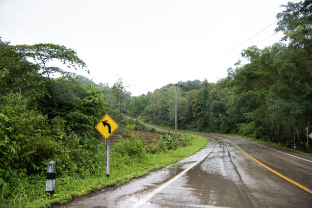 istock Foggy road in the forest ,Beautiful nature trail (Picture put grain) 1000962236