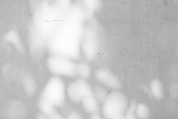 istock Black and White abstract background textuer of shadows leaf on a concrete wall 1000963644