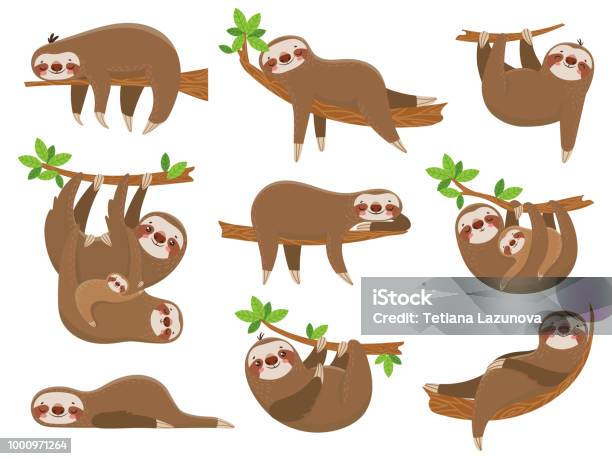 Ilustración de Familia De Osos Perezosos De La Historieta Animal Adorable Oso Perezoso En El Bosque Lluvioso De Selva Animales Divertidos En Bosque Tropical Árboles Vector Set y más Vectores Libres de Derechos de Perezoso