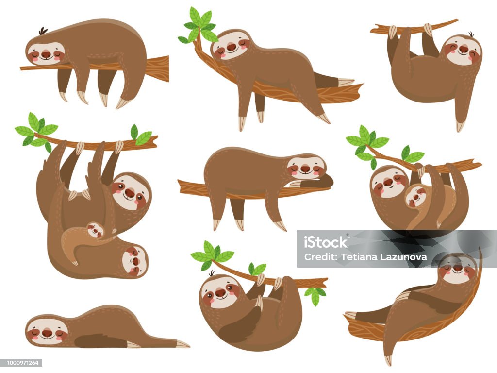 Cartoon sloths family. Adorable sloth animal at jungle rainforest. Funny animals on tropical forest trees vector set Cartoon sloths family. Adorable sloth sleepy animal at jungle rainforest different lazy sleeping. Funny brown cute animals happy sleep on tropical forest trees vector icons isolated set Sloth stock vector