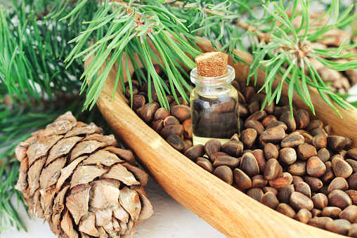 surrounded by fresh fragrant pine branch and cone.