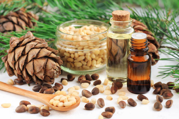 istock Dropper bottles with aromatic pine nut oil with cedar cones 1000981100