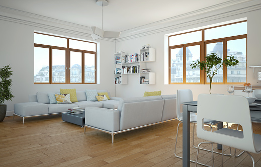 Modern bright living room interior design with sofas 3d Illustration