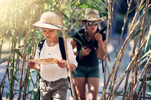 Kids playing safari exploration trip. Brother and sister walking through difficult jungle using an ancient treasure map.\nSunny summer day.\nNikon D850