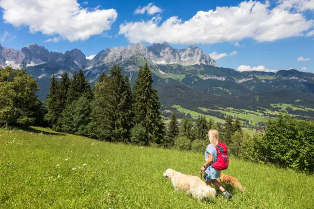Springtime, Summer, Tyrol State, Hiking, Holiday with dog