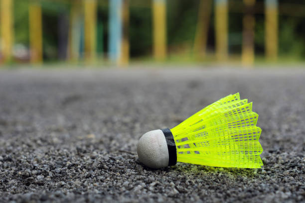 istock volanchik with a white tip and a light green shank on the gaming, fenced net, site 1001007042
