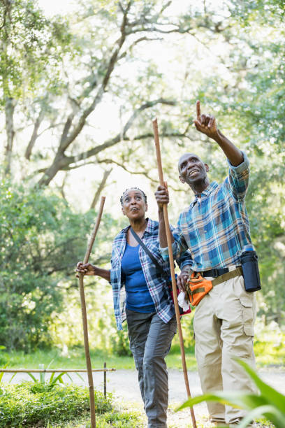istock Senior African-American couple hiking, exploring 1001010240
