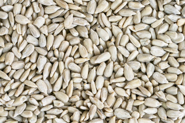 istock Peeled sunflower seeds background. Top view 1001012180