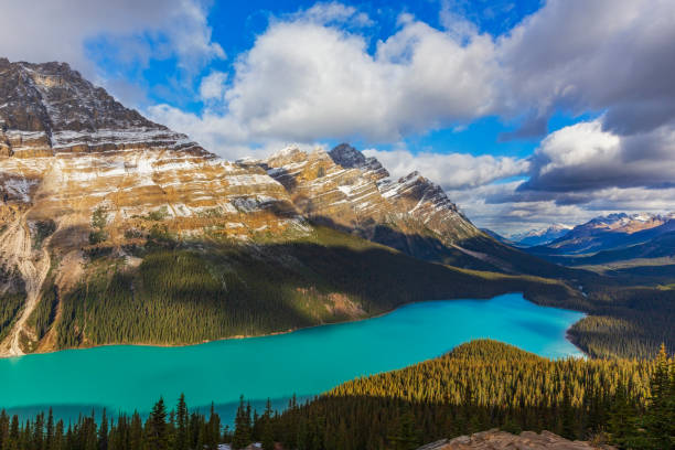 istock Peyto Lake in Banff National Park 1001017136