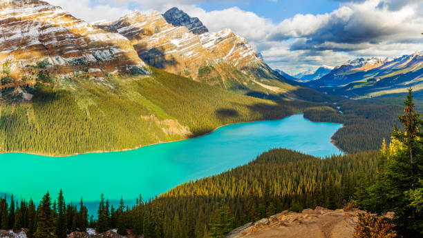 istock Peyto Lake in Banff National Park 1001017244