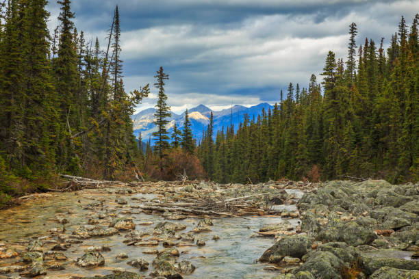 istock Edith Cavell mountain and glacier lake. 1001017956