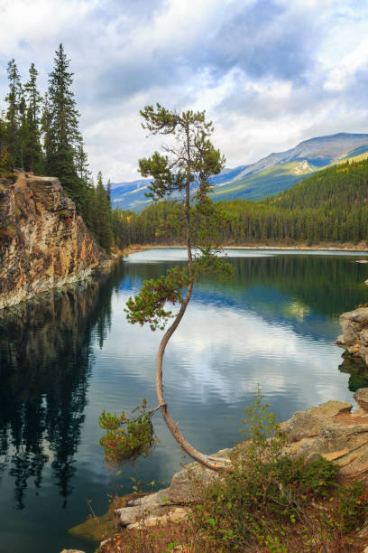 Horseshoe Lake in Jasper National Park