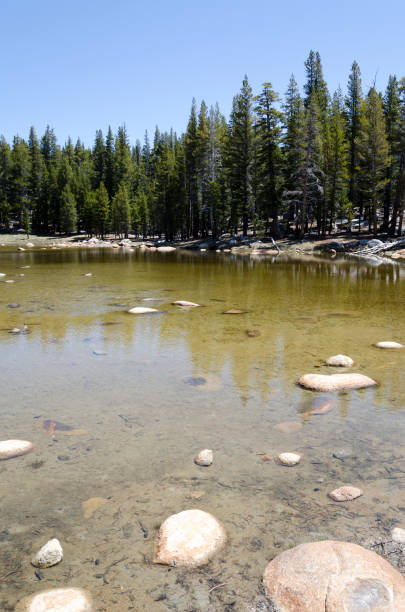 istock lake in Yosemite National Park 1001025354