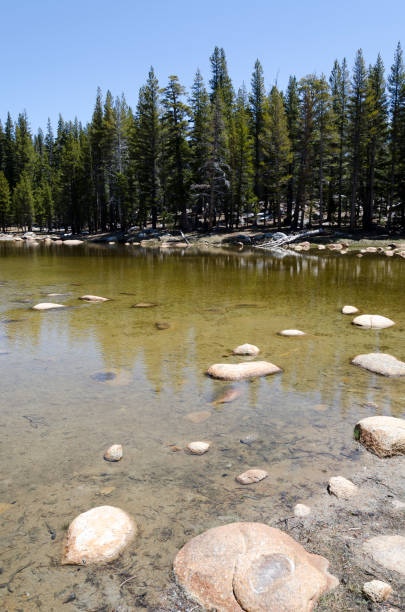 istock lake in Yosemite National Park 1001025470