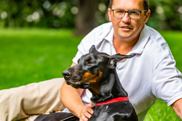 istock Man plays in the park with Dobermann 1001026138
