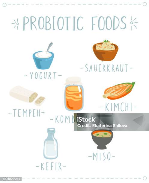 Vector Set Of Hand Drawn Icons Of Natural Probiotic Foods Stock Illustration - Download Image Now