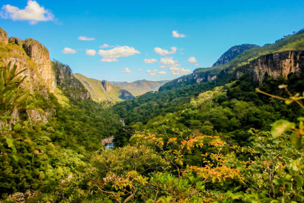 paisagem cerrado brasileiro chapada dos veadeiros goias - brousse photos et images de collection