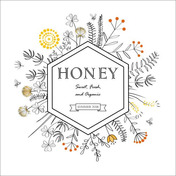 ilustrações de stock, clip art, desenhos animados e ícones de frame with honey flowers and bees - hexágono ilustrações