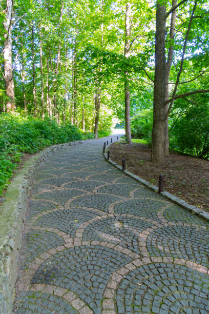 istock The path in the park is paved with a beautiful pattern running between green trees and low lush bushes 1001038912