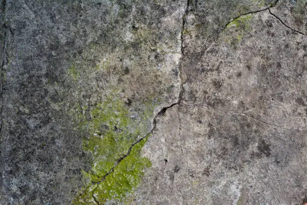 Photo of fragment of old gray cement with cracks and green moss