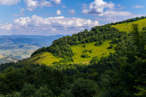 istock blue sky with clouds over a mountain covered with thick bushes and trees 1001085122