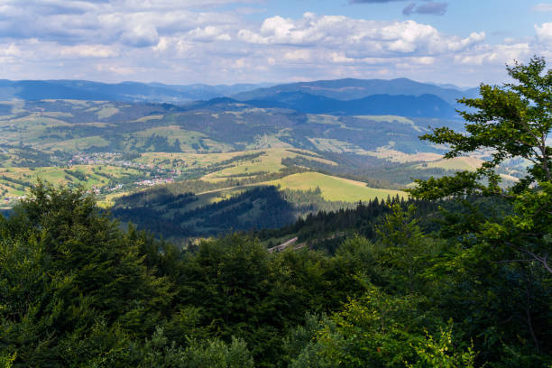 istock Thick branches of trees in the foreground and a mountain range with a blue sky in the background 1001085168