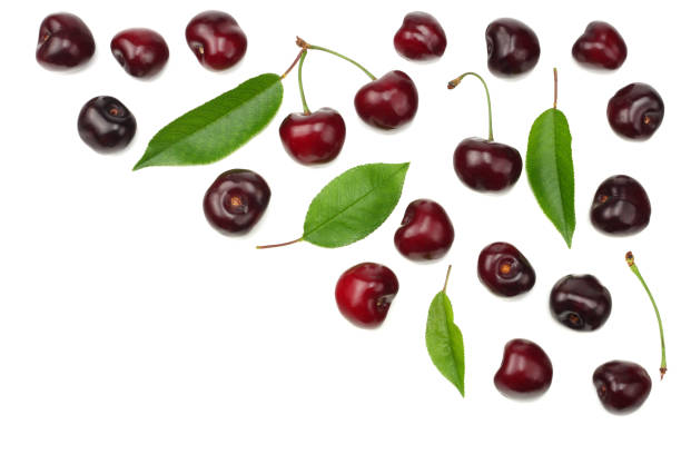 istock cherry with green leaf isolated on white background 1001085242